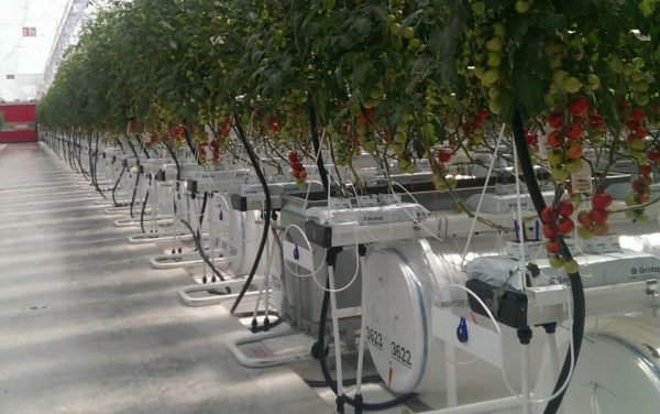Greenhouse Smart Control Systems